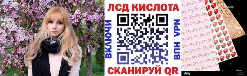Марки NBOMe 1,8мг закладка кракен Покровск