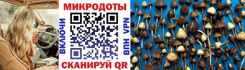 где купить наркоту  Покровск  Галлюциногенные грибы мицелий 